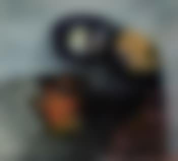 Listening to the flowers (preview)