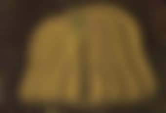 Pumpkin (preview)