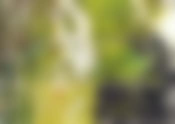 Abstract in green (preview)