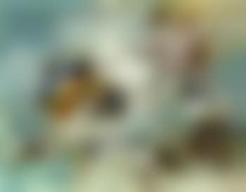 Composition (preview)