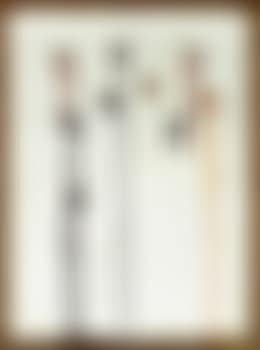 Tie (preview)