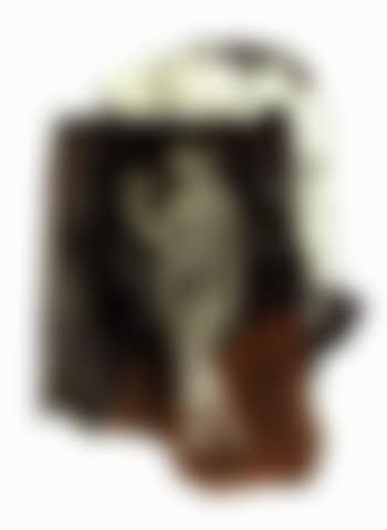 Petrarca (preview)