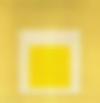 Hommage to the square, evident (preview)