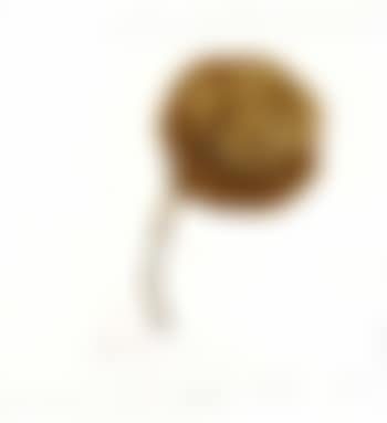 Ombelico di venere (preview)