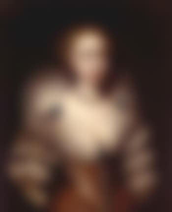 Portrait of Lady Margaret Mennes (preview)