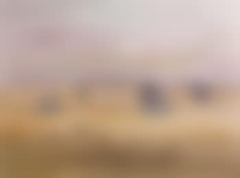 Wimmera, wings of the plain (preview)