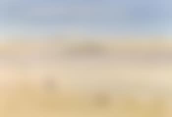 Wimerra landscape with waterhole and birds (preview)