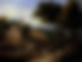 Landscape with village festival by Adriaen Frans Boudewyns (preview)