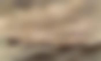 Portrait of the American screw steamer Christine (preview)