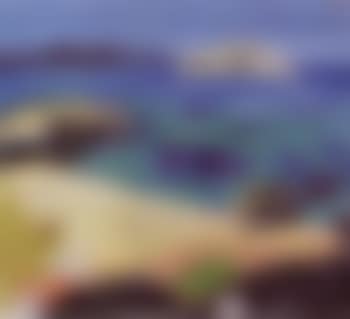 Archipelago, Koster (preview)