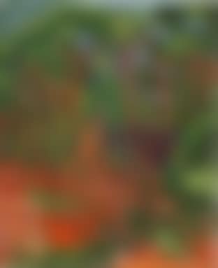 Red tree trunks (preview)