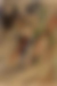 Composition (preview)
