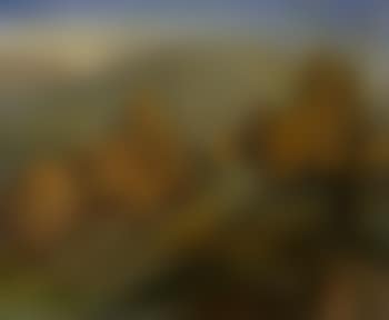 Paysage du Vaucluse (preview)