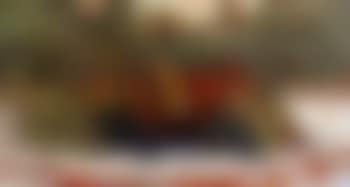 Les fruits sur la table, Saint-Remy-de-Provence (preview)