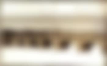 Le Pont Neuf wrapped (preview)