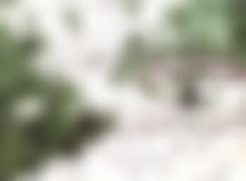 Study for Ski jacket (preview)