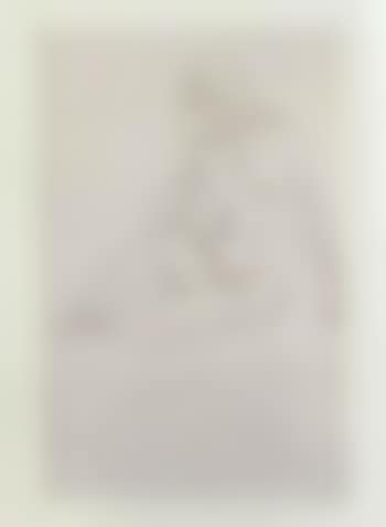 Figure assise, nu (preview)
