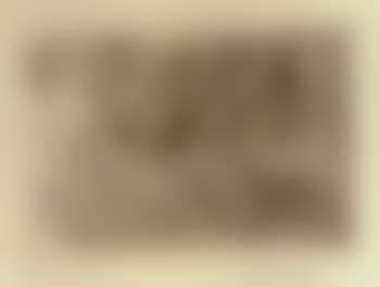 No.29 (preview)