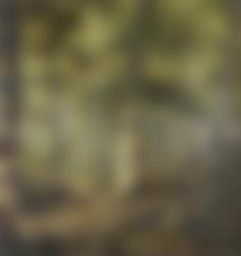 Small girl in forest (preview)