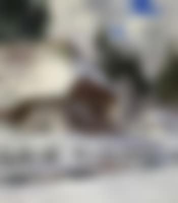 Snow in Sulzbachtal (preview)
