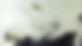 Like a landscape (preview)