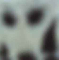 Composition (preview)