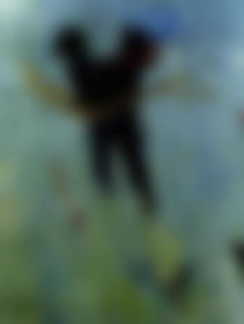 Untitled (preview)