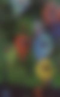 Composition (preview)