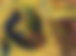 Untitled (preview)