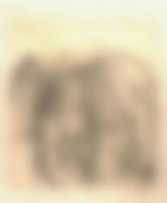 Montagne elephante (preview)
