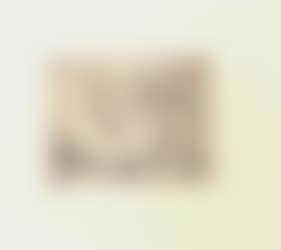 Petits cerfs (preview)