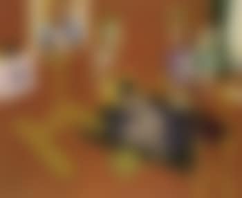 Harmony in yellow (preview)