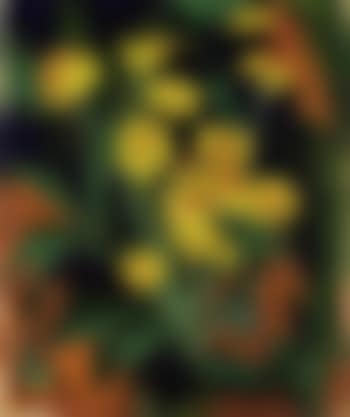 Dandelions (preview)