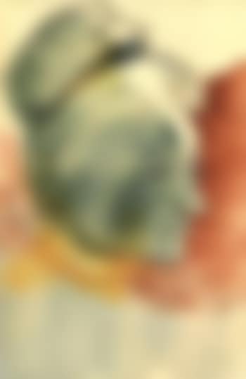 Portrait of a woman's head (preview)