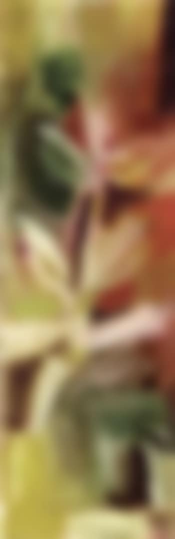 Plant (preview)
