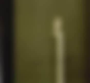 Kertze, Brutin 54 - Candle (preview)