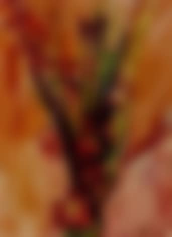 Chrysanthemums and crocosmia (preview)