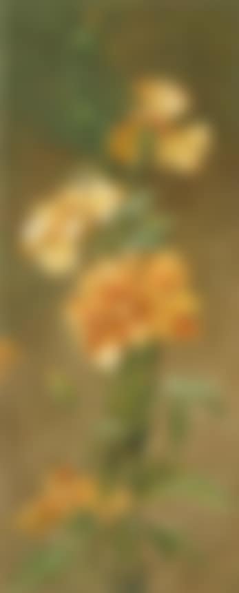 Poppies. Chrysanthemums. Japanese anemones. Carnation (preview)