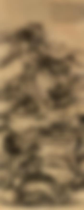 Landscape (preview)