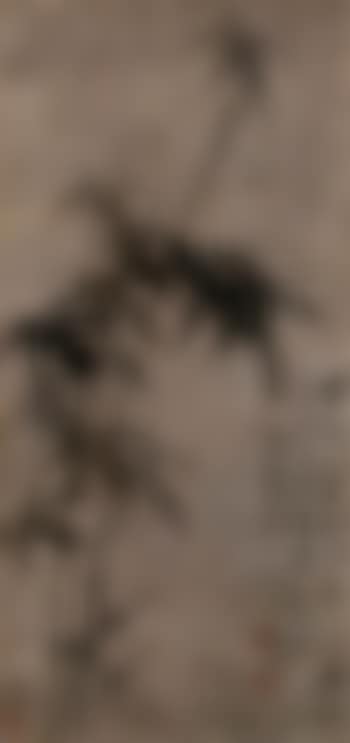 Bamboo (preview)