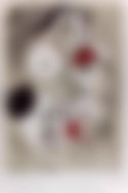 The gray cock (preview)