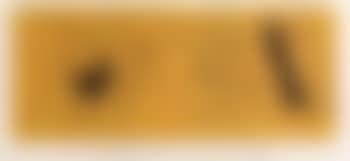 Yellow flight (preview)