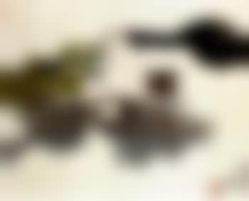 Home town of Luxun (preview)