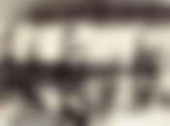Reeds (preview)