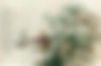 Bamboo, rock and figures (preview)