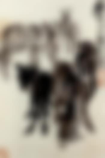 Donkeys (preview)