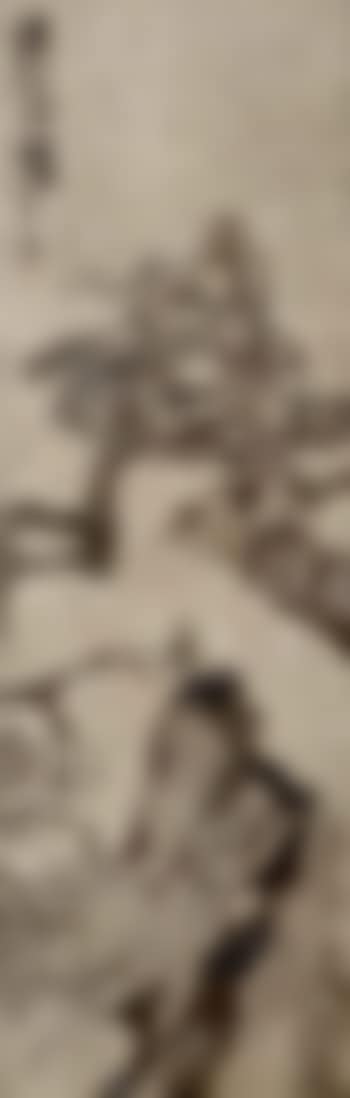 Bird and trees (preview)
