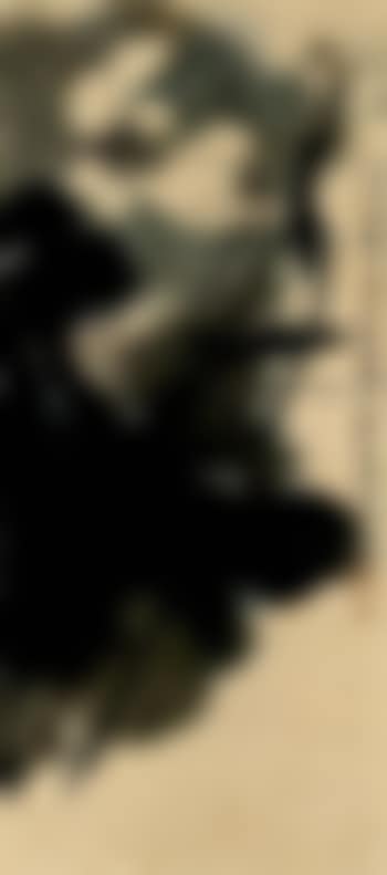 White lotus (preview)