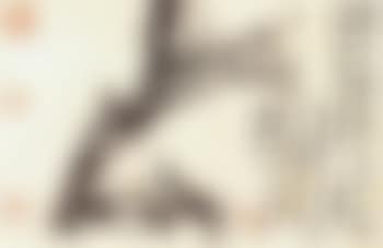 Prunus (preview)