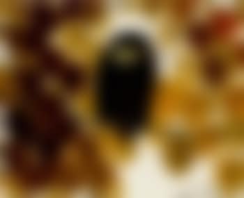 Owl (preview)